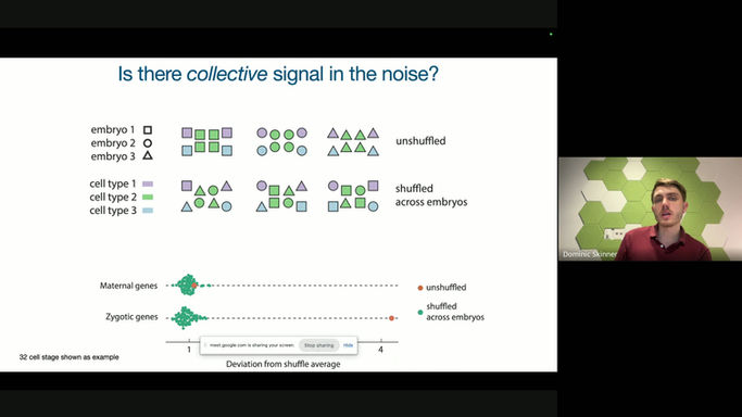 Physical Modeling of Embryonic Transcriptomes Identifies Collective Modes of Gene Expression